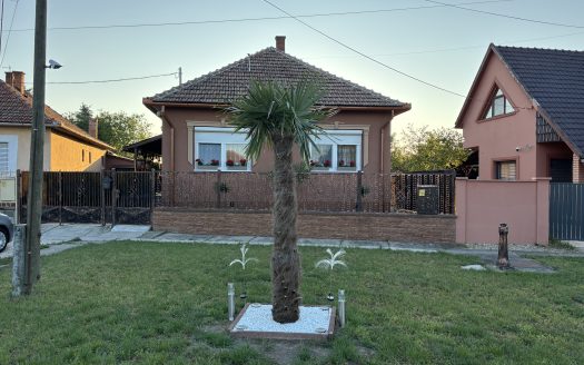 Luxus családi ház – ingatlandetektor.hu