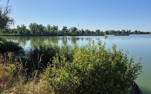 Délegyháza – ingatlandetektor.hu