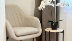 kép