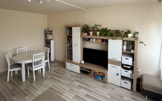 Zöldre néző, napfényes lakás a patakparton, berendezéssel, klímával! – ingatlandetektor.hu