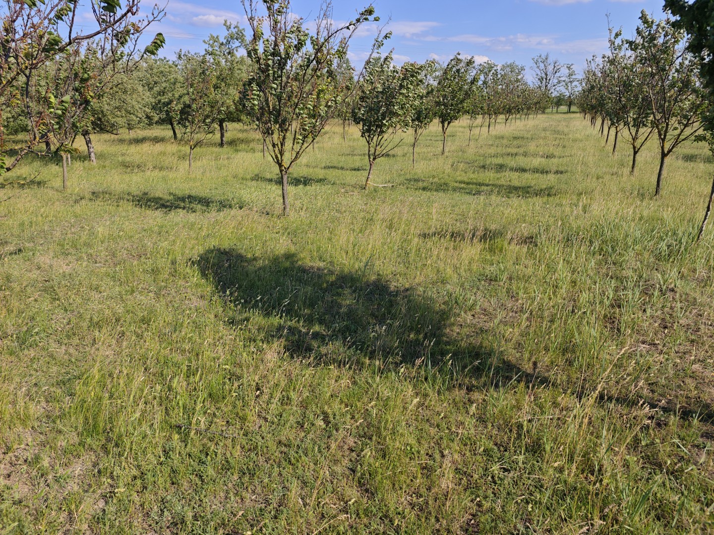 SZERETNÉL EGY BEFEKTETÉST, AMI AZONNAL PÉNZT HOZ, ÉS NEM ESZI MEG AZ INFLÁCIÓ? – ingatlandetektor.hu