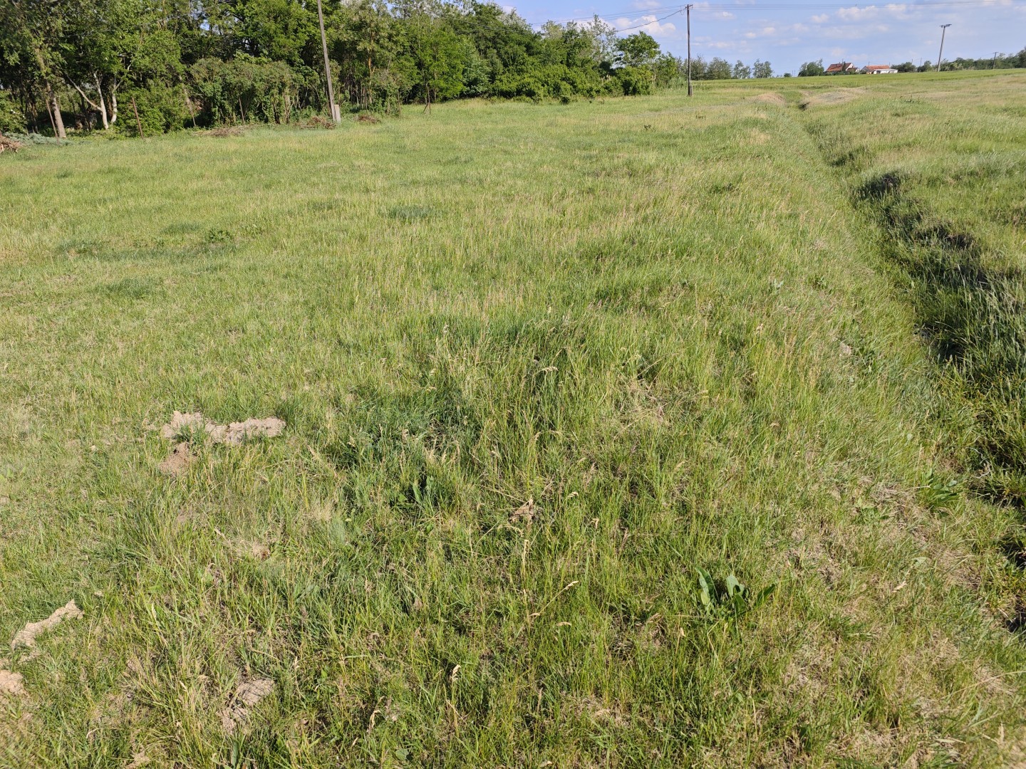 SZERETNÉL EGY BEFEKTETÉST, AMI AZONNAL PÉNZT HOZ, ÉS NEM ESZI MEG AZ INFLÁCIÓ? – ingatlandetektor.hu